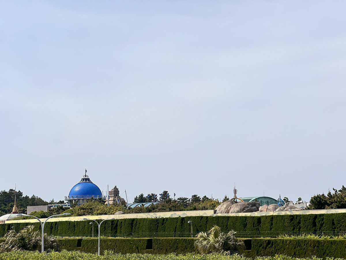 🌞テラメ🌞 tweet media