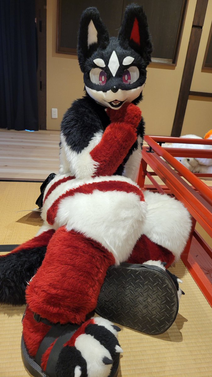 ぴよんこ tweet media