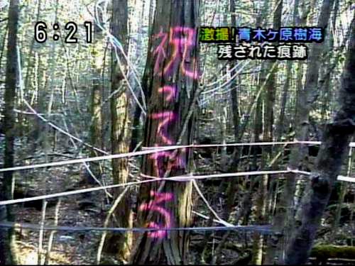 てつろ～@隼&R1 tweet media