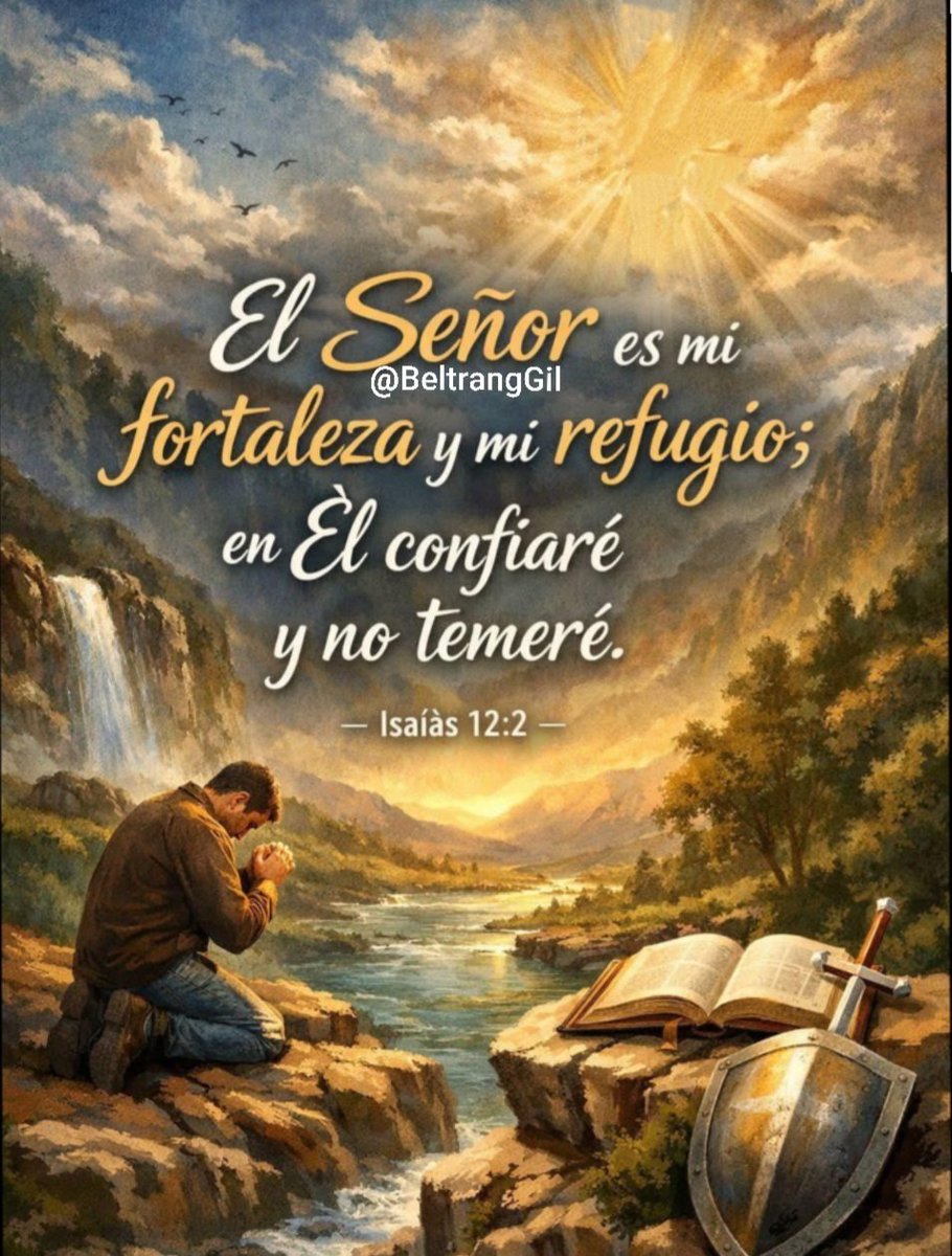 Beltran Rafael Gil tweet media