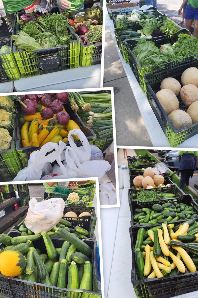 p_drent's tweet image. “Farmers Market Flex” Collage by Google Photos

#collage #collagebygooglephotos #farmersmarket #freshproduce