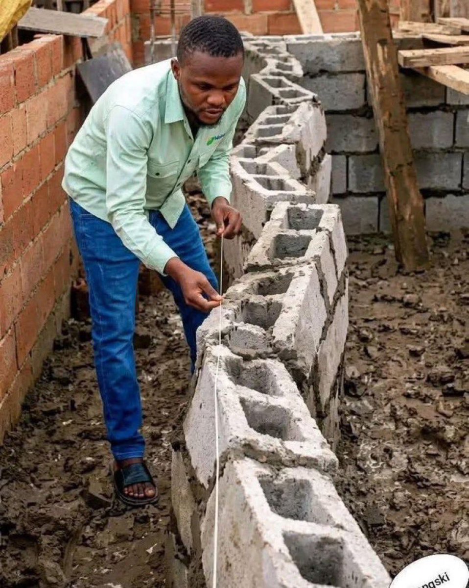 Alanoh☆ tweet media