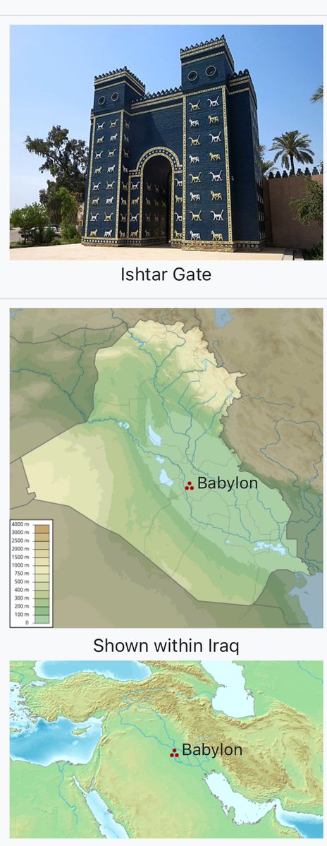 Truesdell 𓏏𓂋𓅲𓋴𓂧𓃭 tweet media