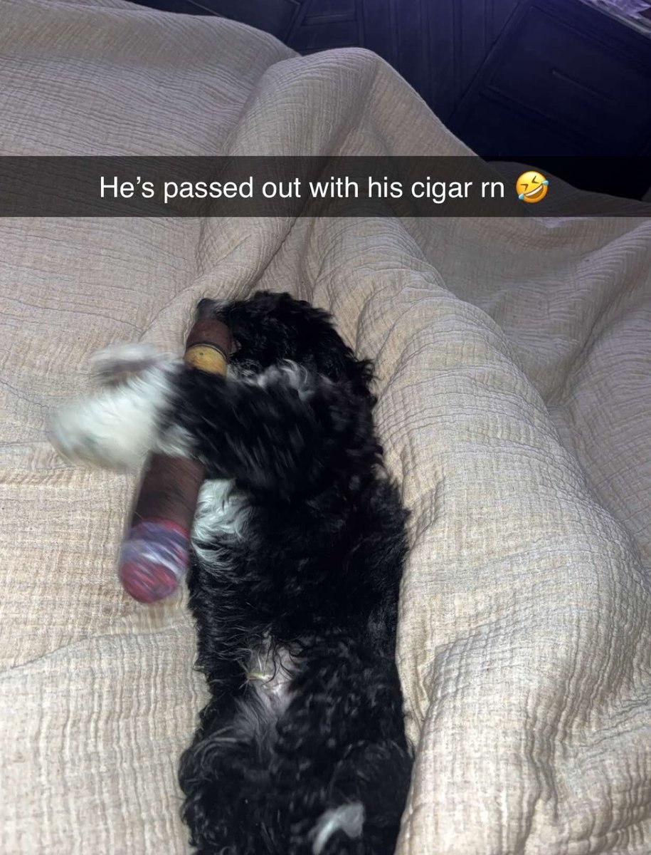 Rick “White Boy Rick” Wershe tweet media