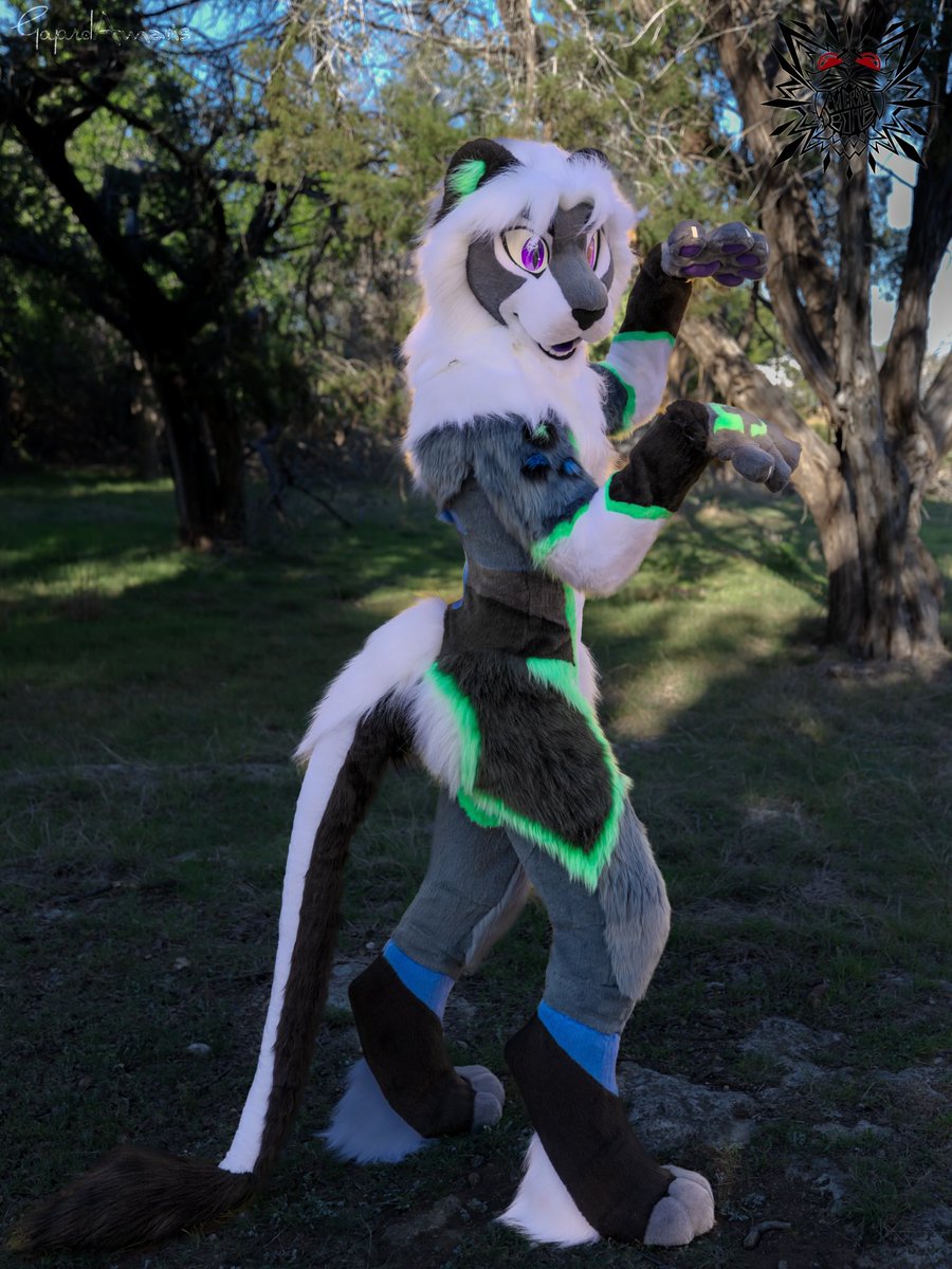 🎆Fish/Jay🎇 tweet media