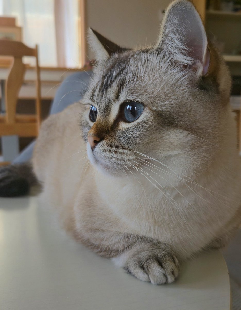 まるママ tweet media