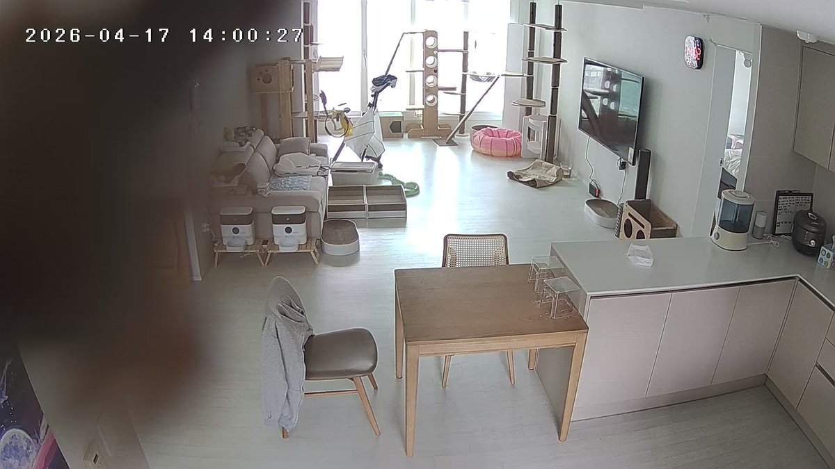 🫨🫨🫨🫨🫨🫨🫨🫨🫨🫨🫨🫨🫨
카메라에 이상한게 붙어있어😵😵😵😵