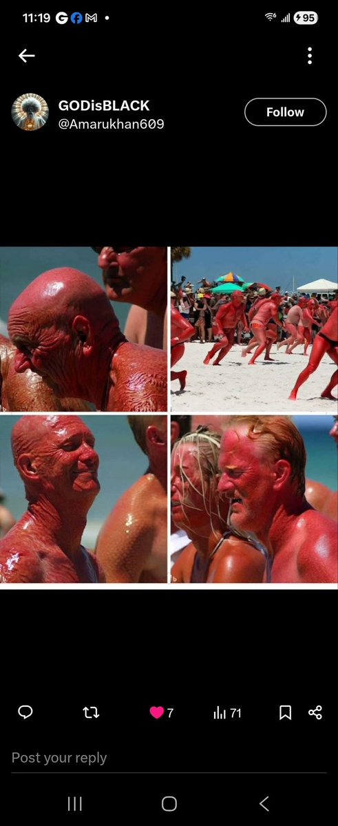 Francois Bolis tweet media