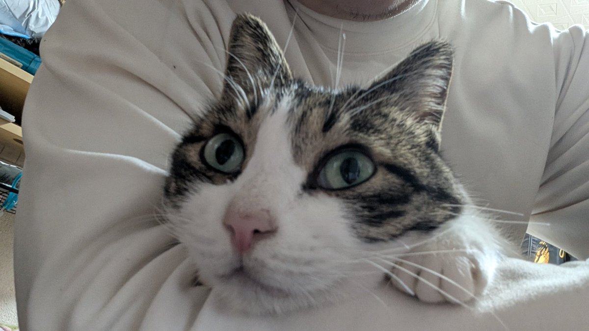 wolfsbane tweet media