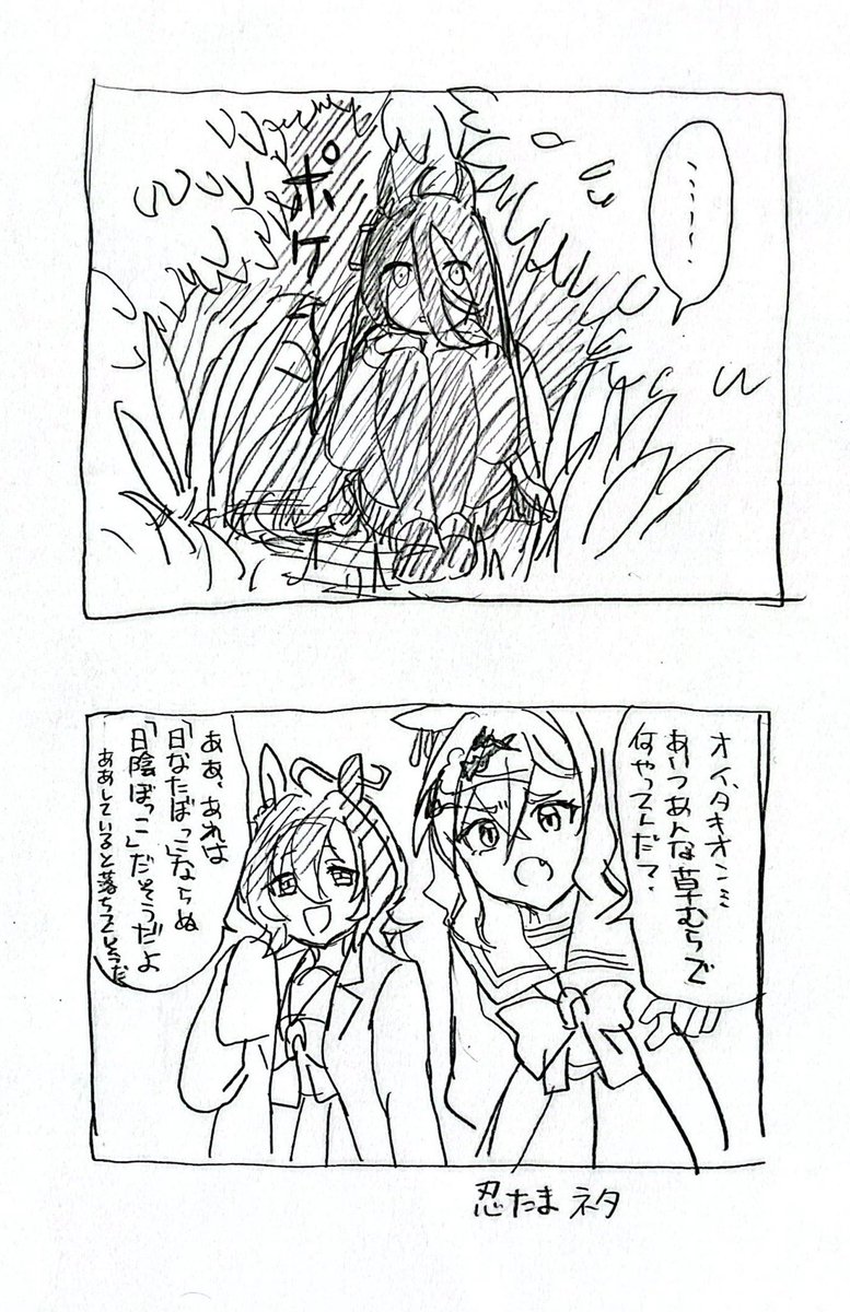 らむねさん🐎牝45 未勝利 tweet media