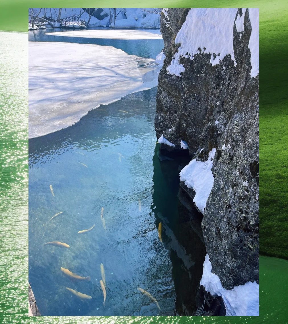 Daniel Stacks tweet media