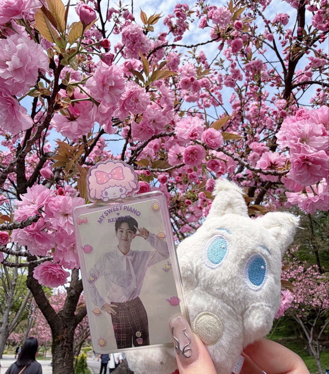 ✿˖° 🌸𐙚₊💭⊹ ♡