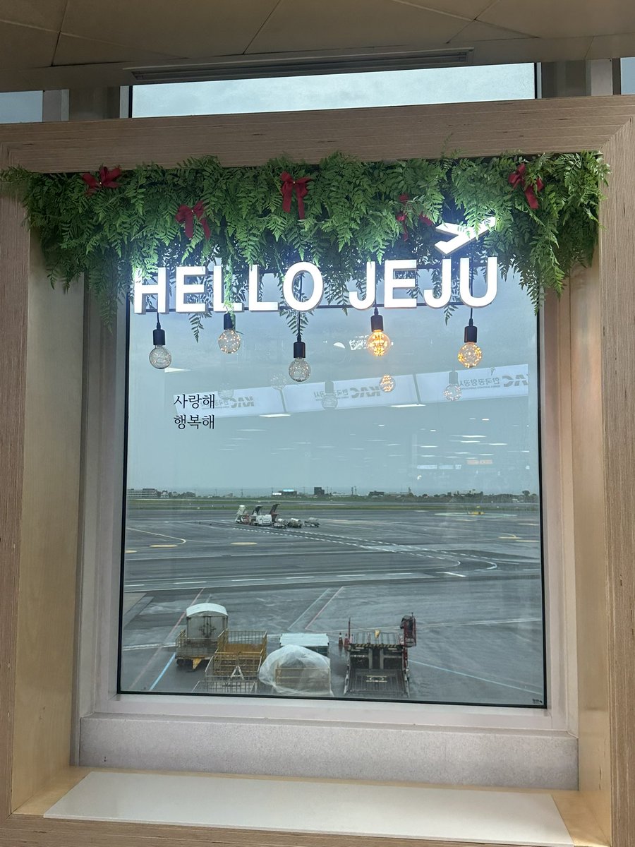 mika🌷@済州島 tweet media