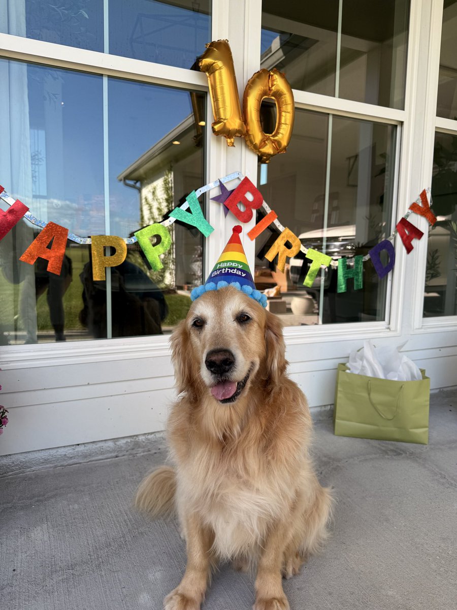 Tortoiseshell Costas tweet media