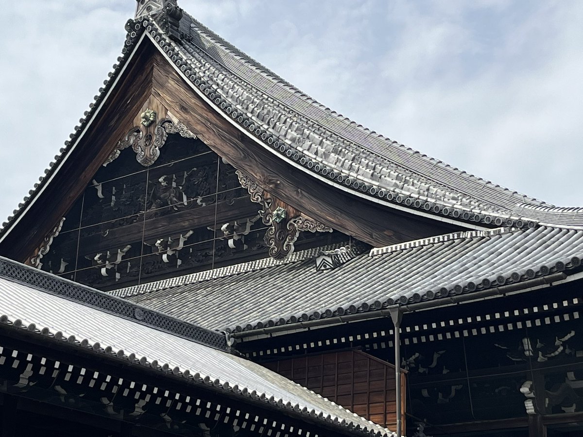 ソニックユースケ tweet media