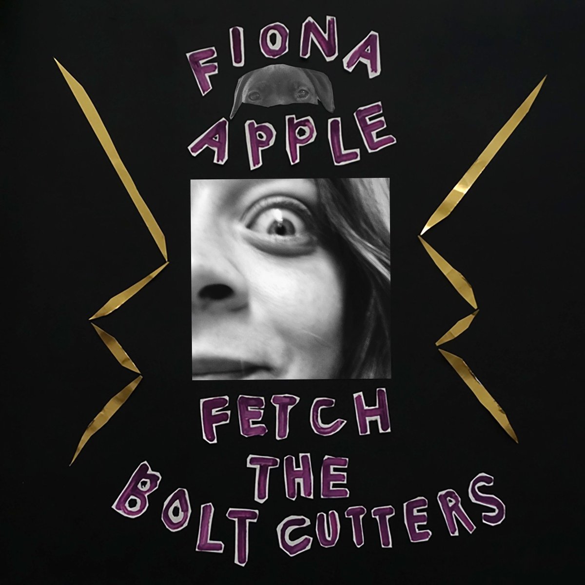 Fiona Apple Updates tweet media