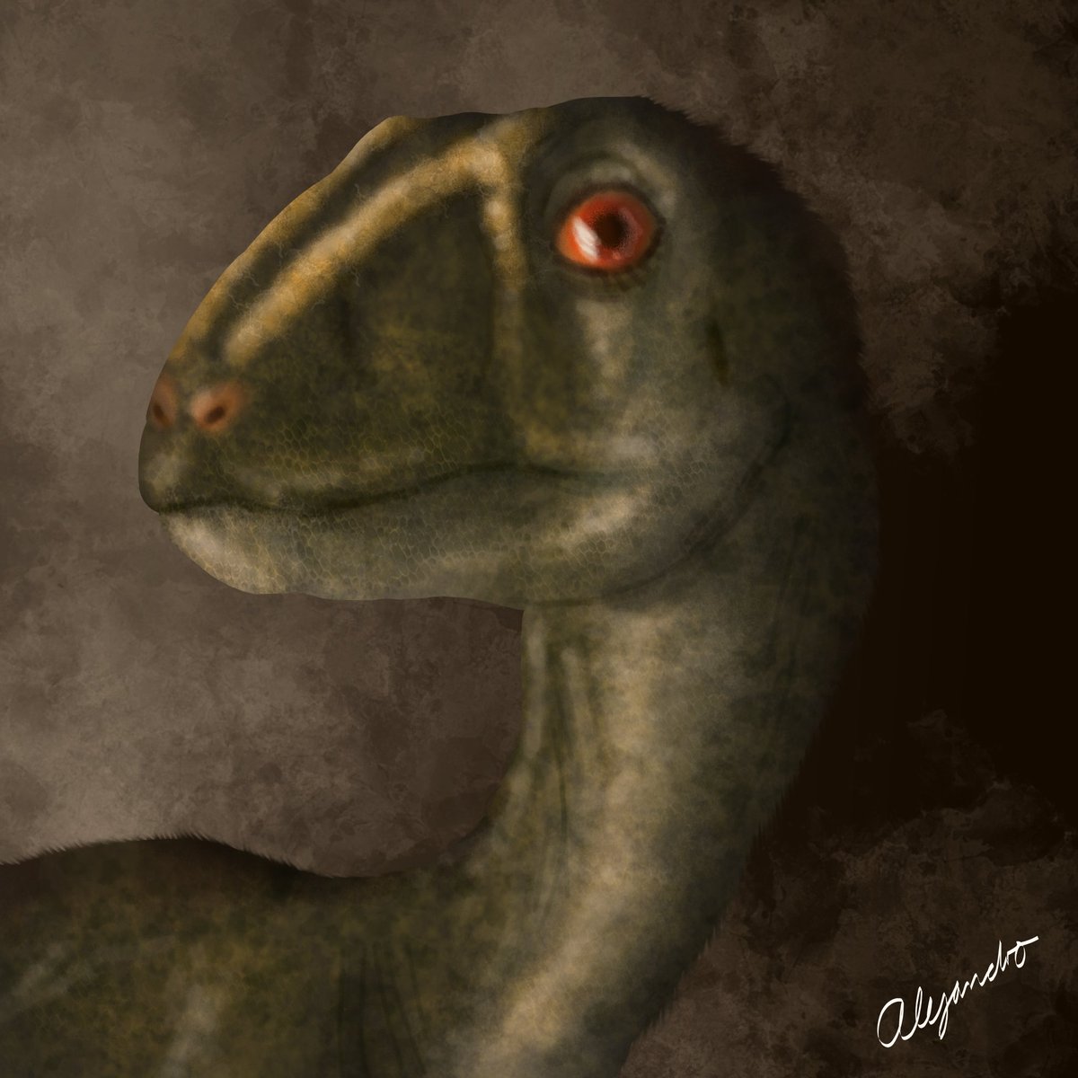 Ptycotherates bucculentus portrait
#paleoarte #paleontología #triassic