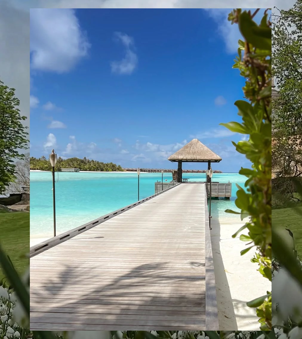 Gregory Trotter tweet media