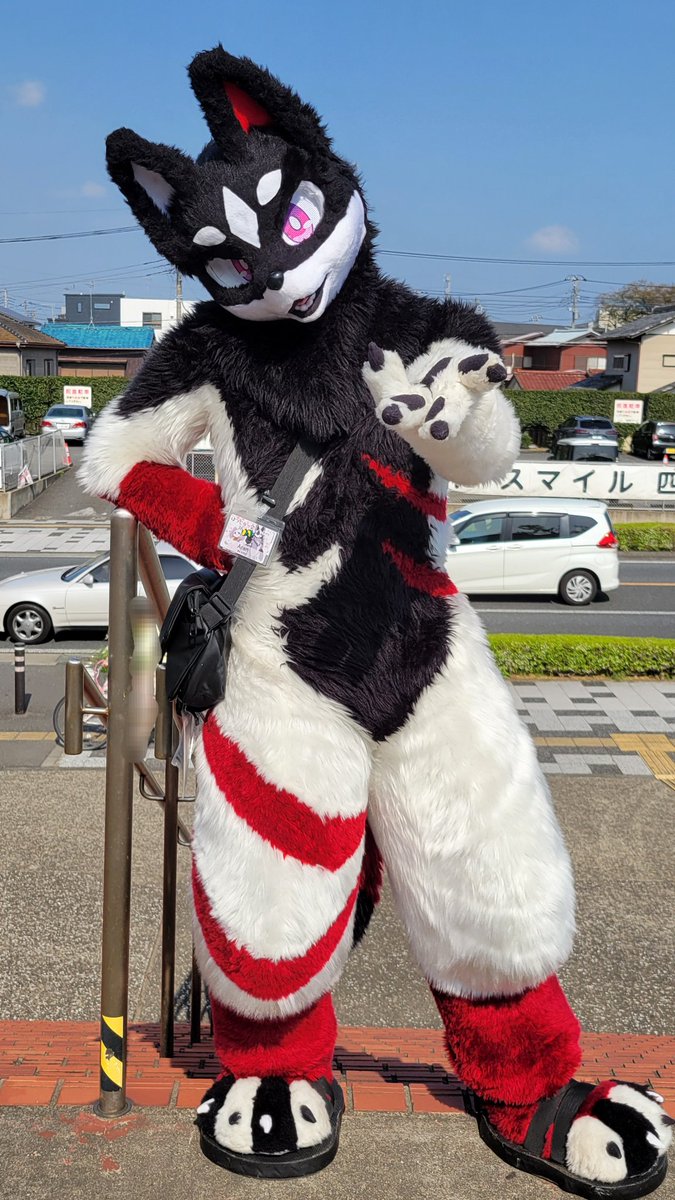 ぴよんこ tweet media