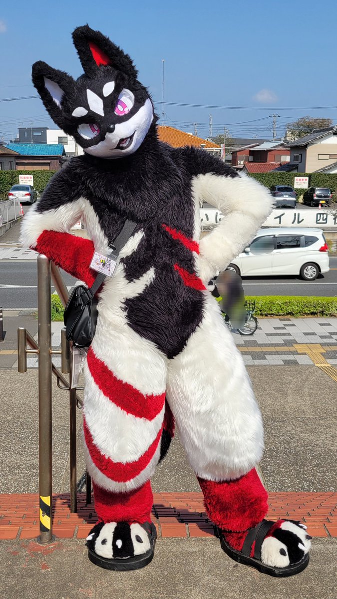 ぴよんこ tweet media