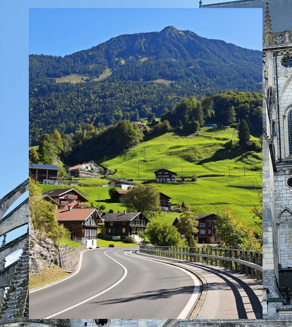 David Javier tweet media