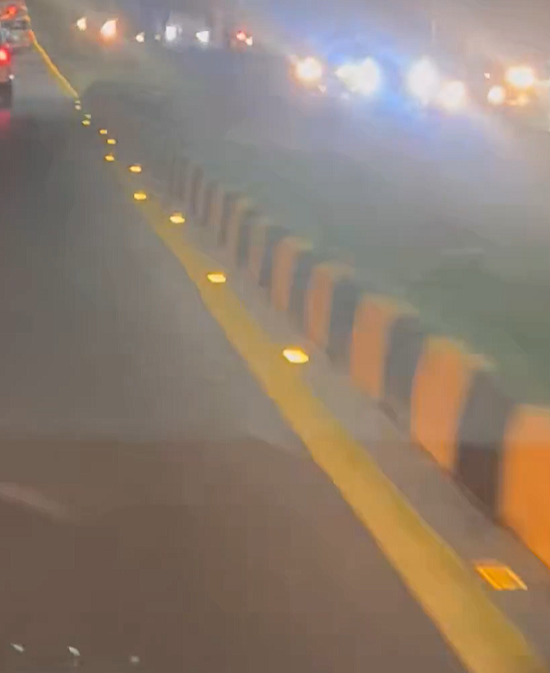 𝔗𝔥𝔢 𝔄𝔯𝔠𝔥𝔦𝔳𝔦𝔰𝔱 tweet media