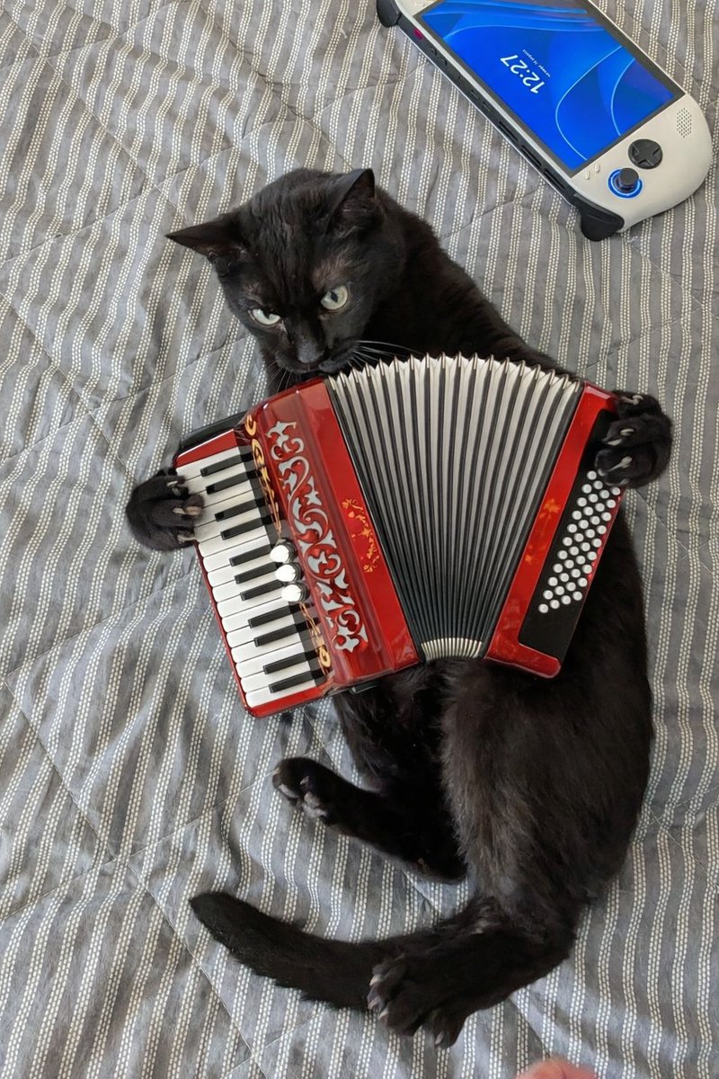 yellowrad tweet media