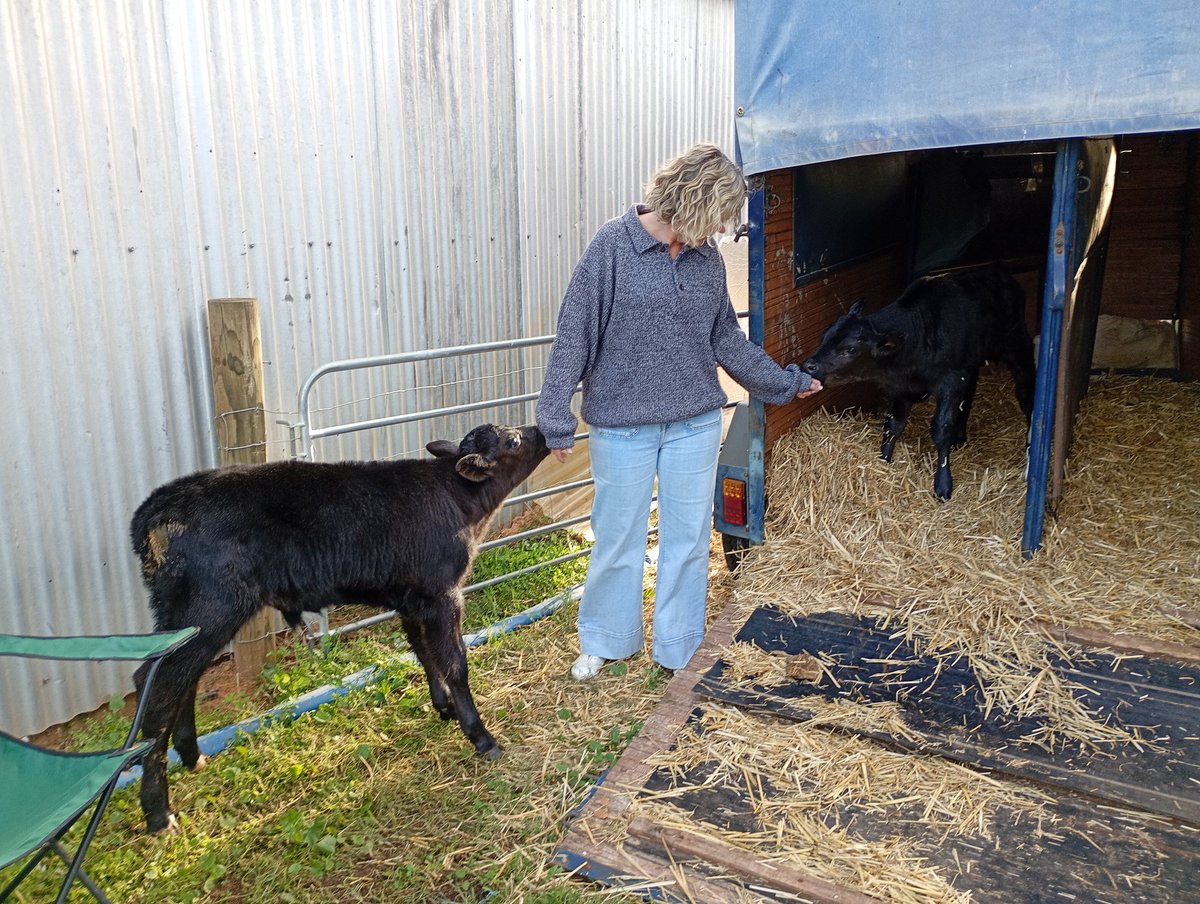springerz2526's tweet photo. Sorry I have been quite
But when you have new borns that kinda take priority 
Oh and having a special visitor was brilliant https://t.co/u4odzFgFya
