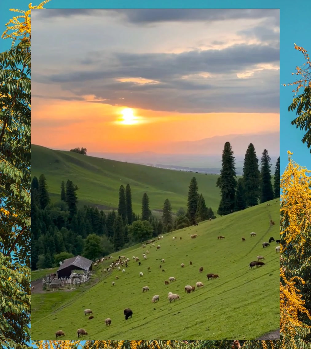 Jennifer Bradley tweet media