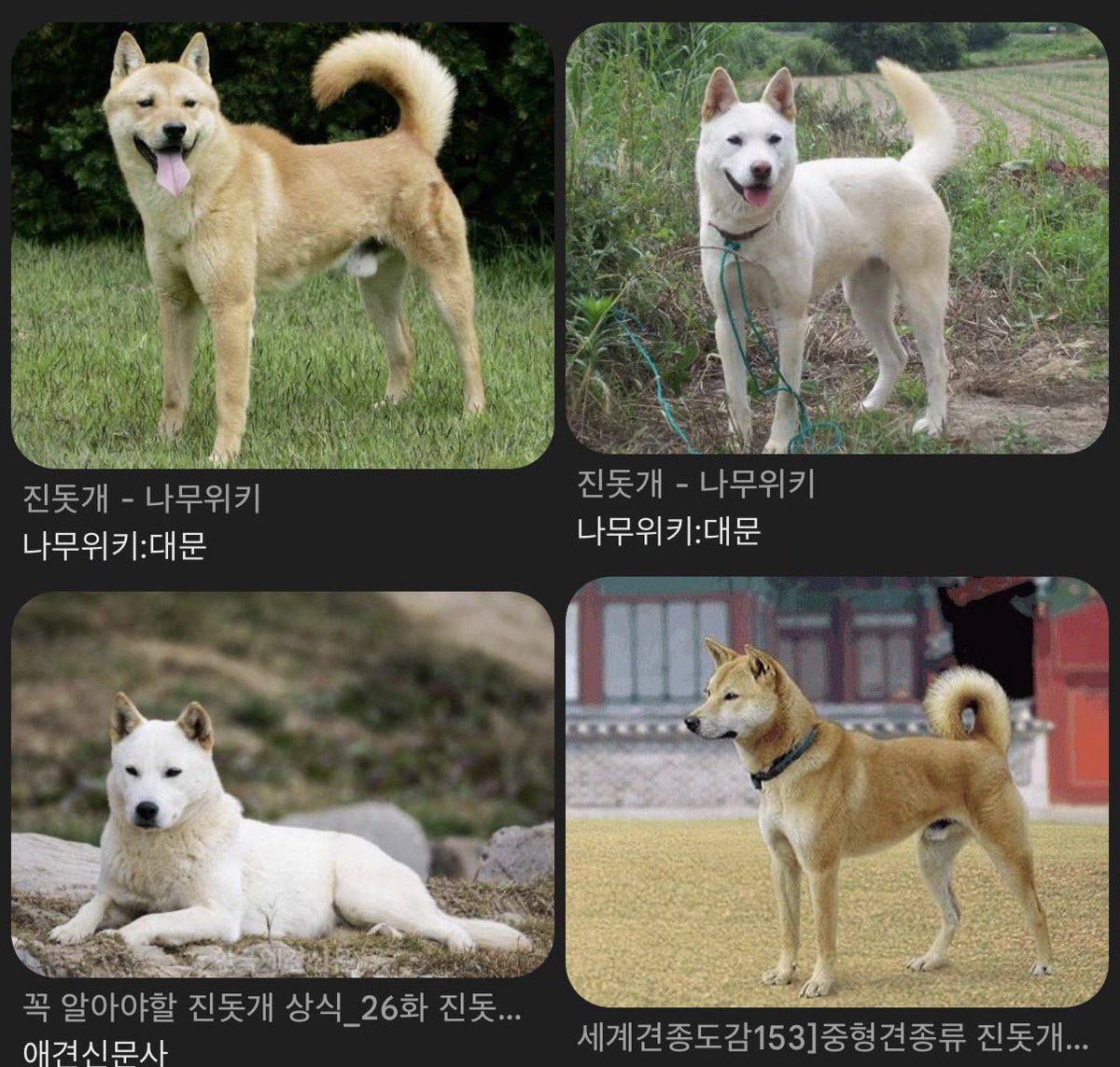 지지쥑 tweet media