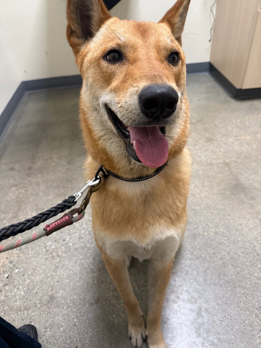 지지쥑 tweet media