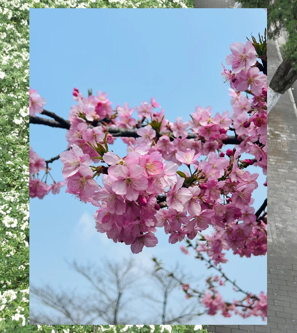 Jeff Sherrer tweet media