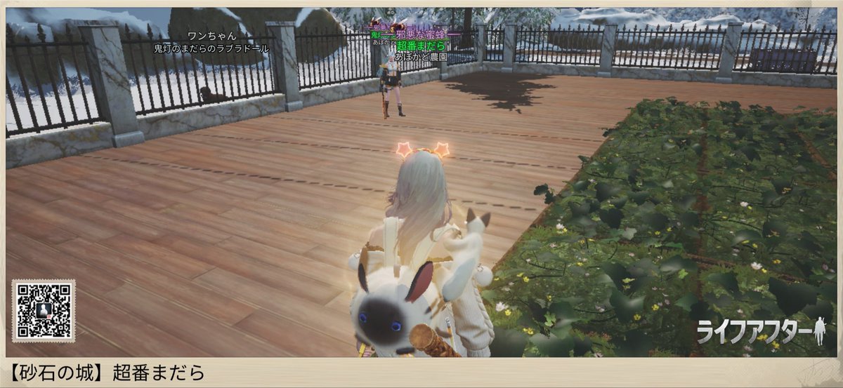 貴方はこの猫を知っている。 tweet media