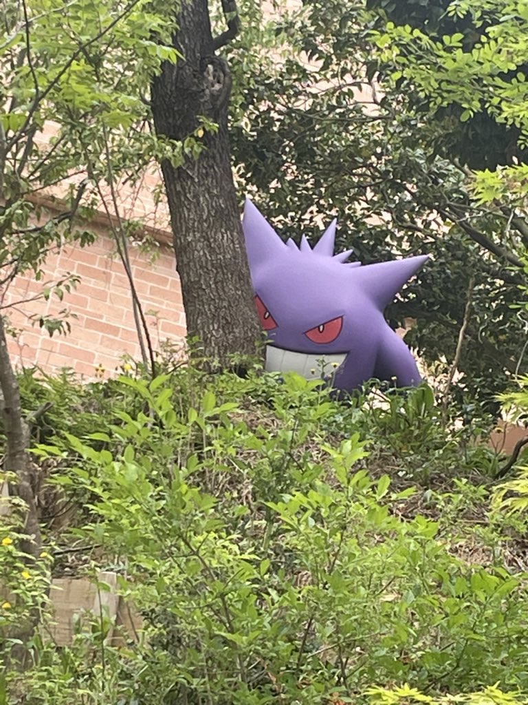 復活のS🌸オリパ tweet media