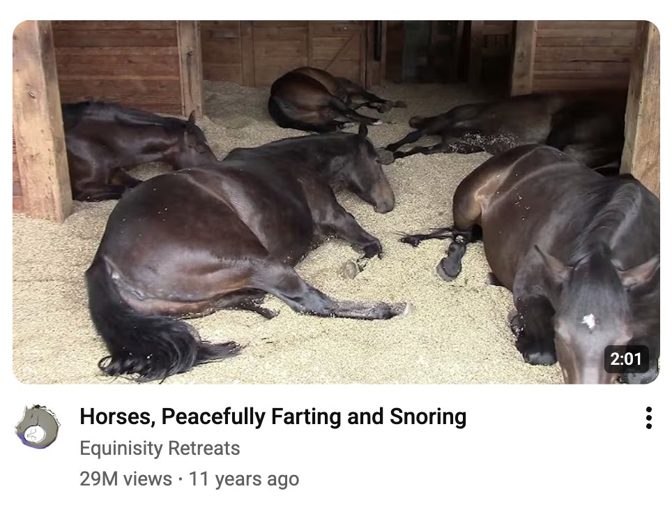 rollerboy tweet media