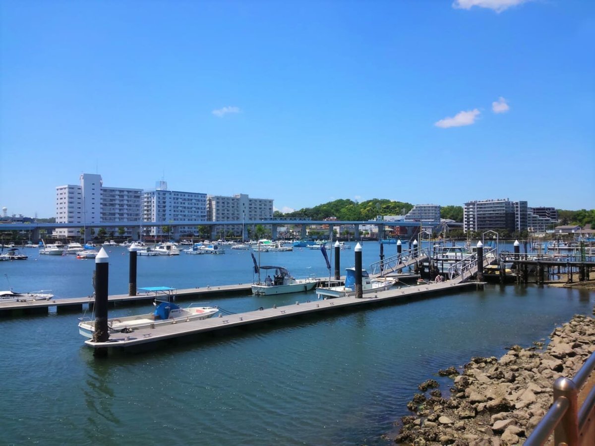 ハマち⬅横浜で暮らそう tweet media