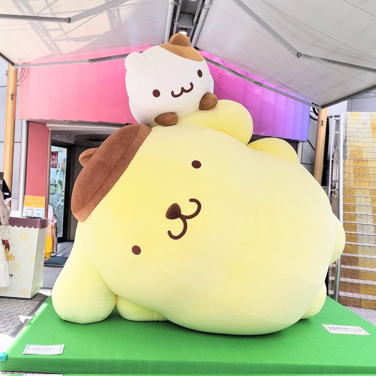 りー🌿🐰 tweet media