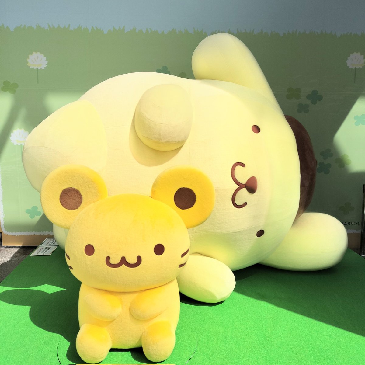 りー🌿🐰 tweet media