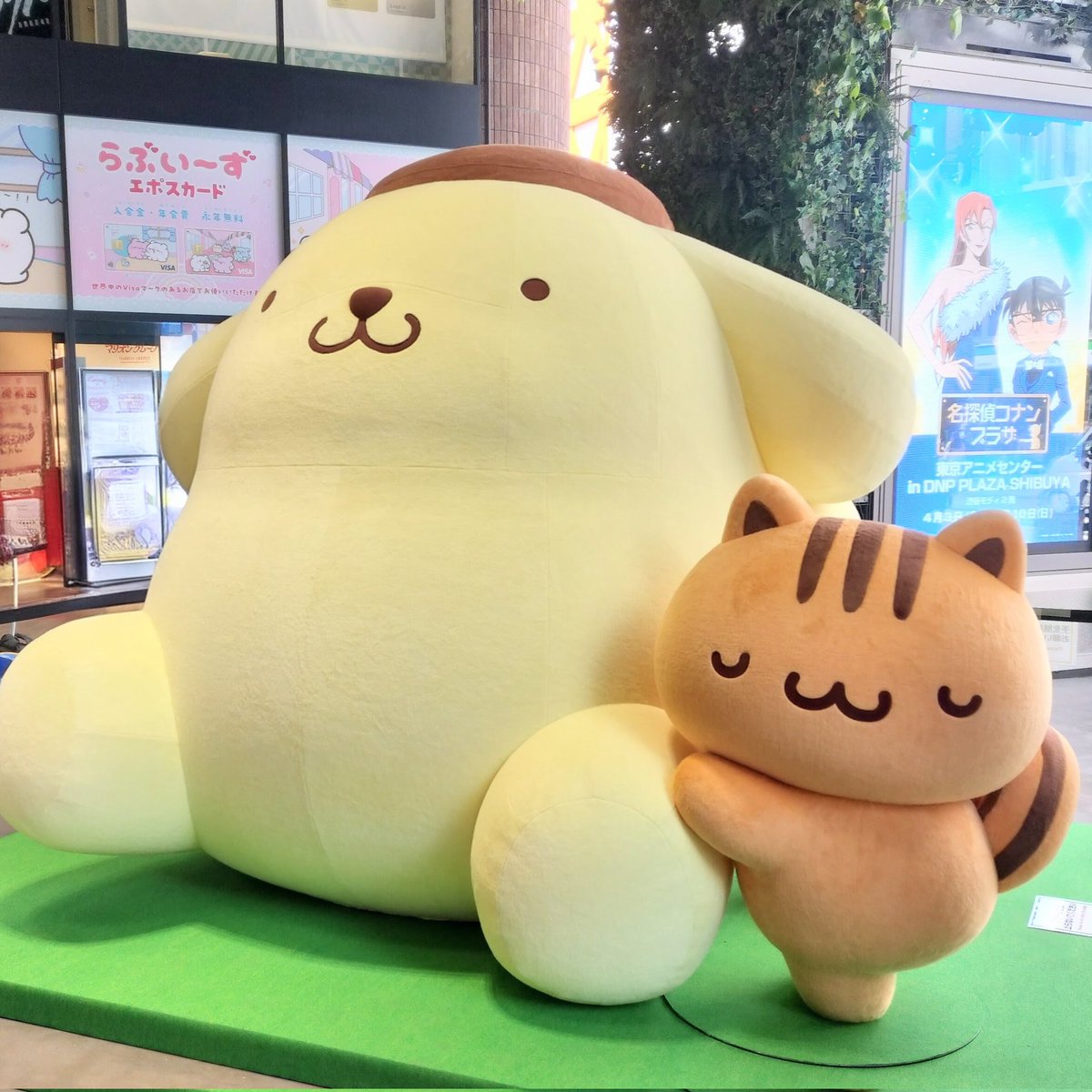 りー🌿🐰 tweet media