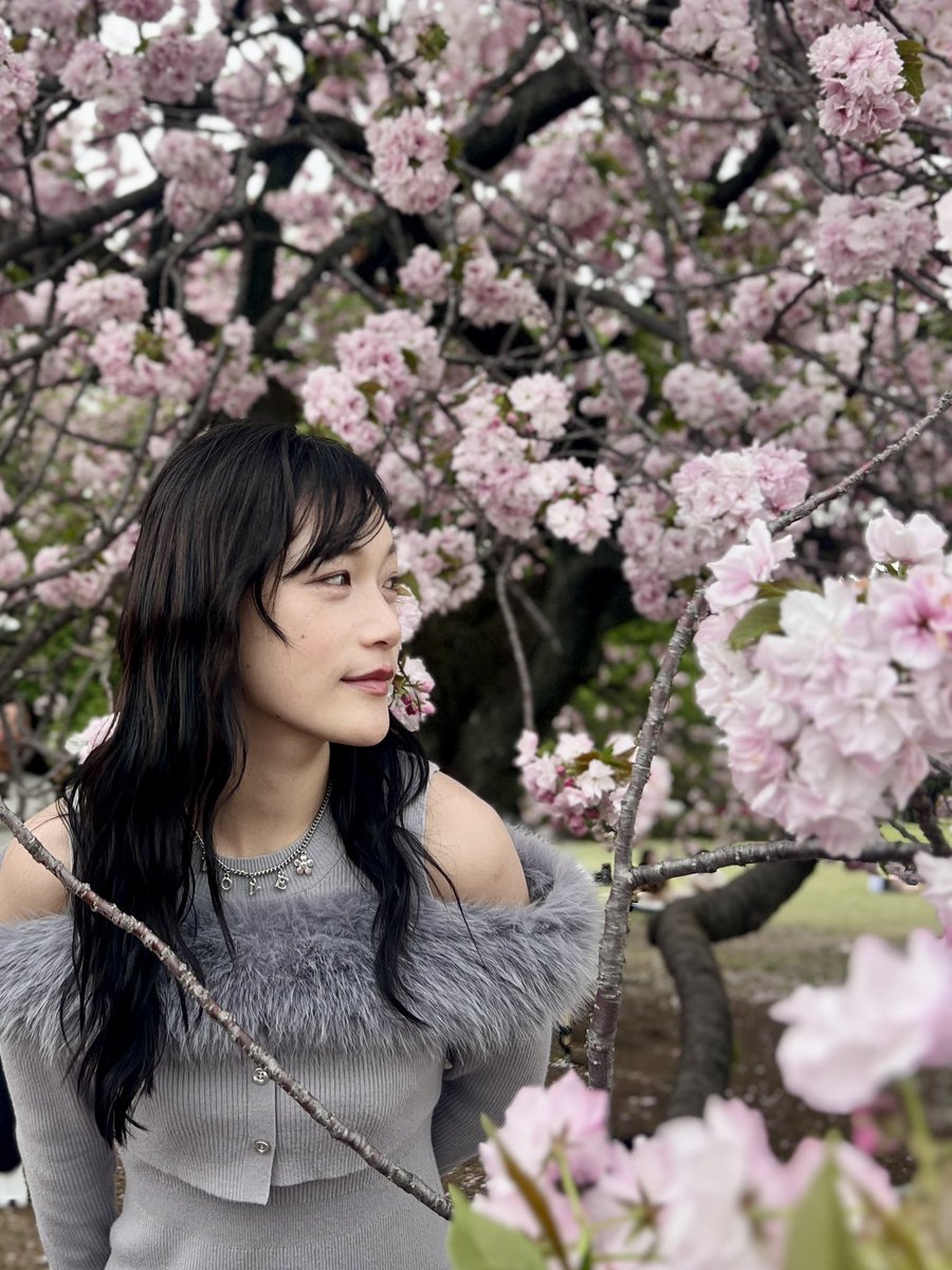 とある中国人のむいむい tweet media