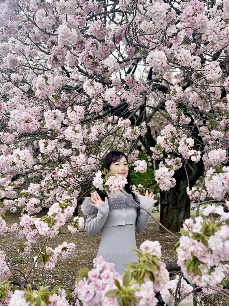 とある中国人のむいむい tweet media