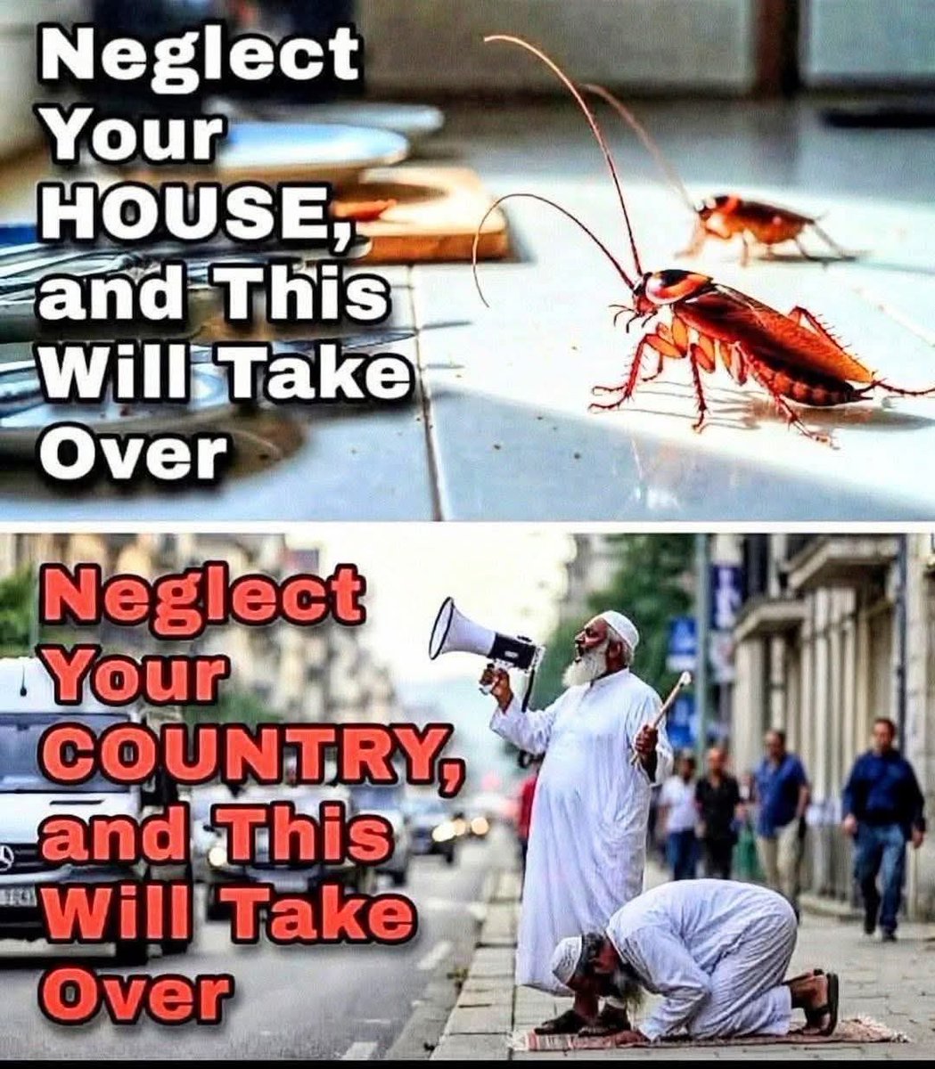 DivineVedicX's tweet image. Democracy will doom civilization from the face of Earth

#civilization #democracy #muslims #immigration #invasion #war