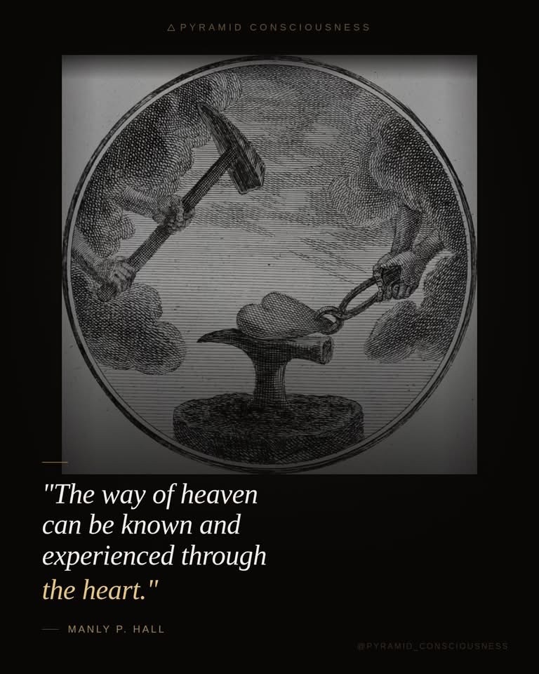 🧬Maxpein🧬 tweet media