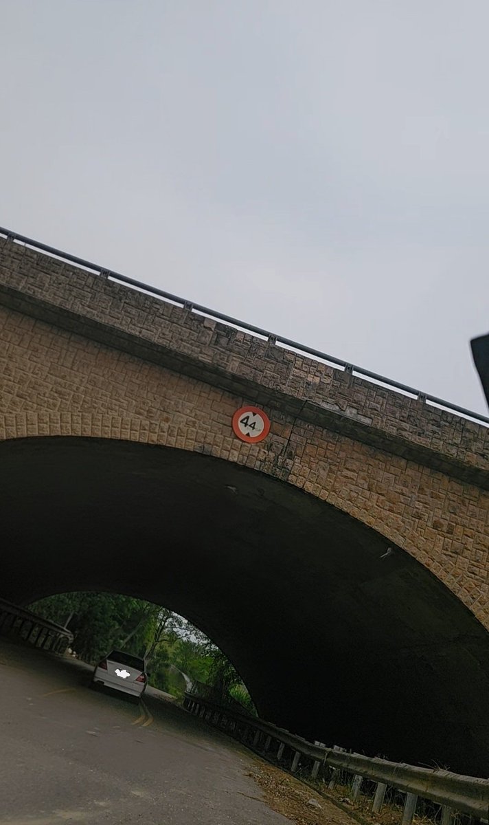 不愛穿衣 tweet media