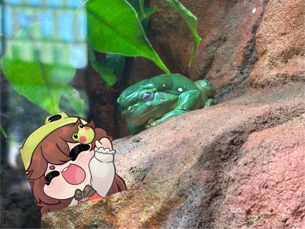 froggy 🌷🐸 magical frog vtuber tweet media