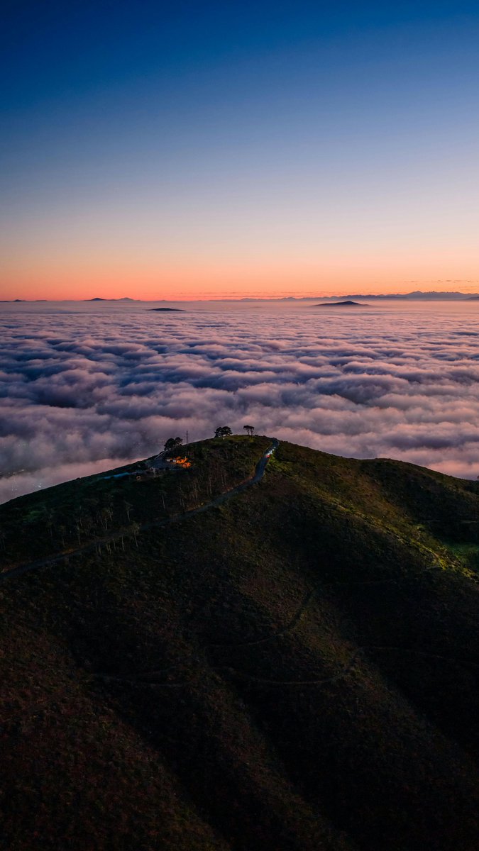 purenature_1's tweet image. Over the clouds 🌤️🌞 #sunset