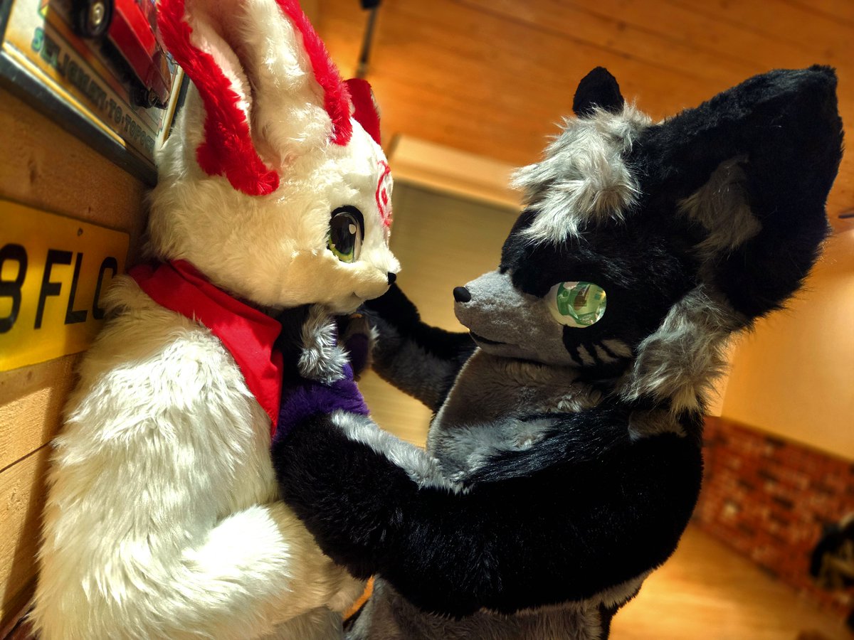 艾可皮恩&泰爾 tweet media