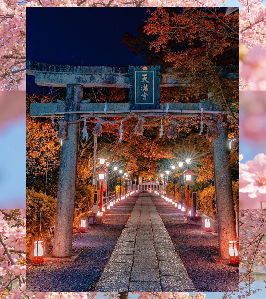 Michelle Duncan tweet media