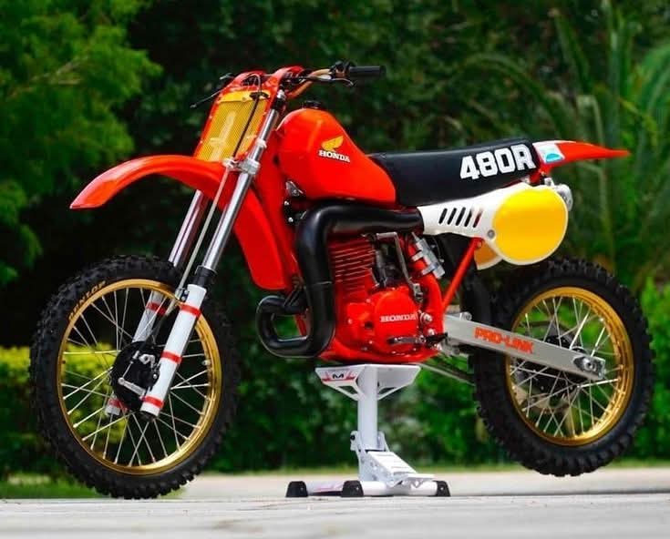 Luciano Costa tweet media