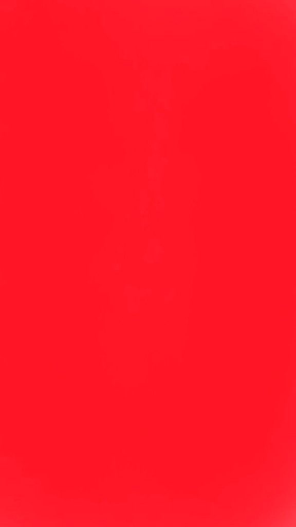 Ramin Nasibov tweet media